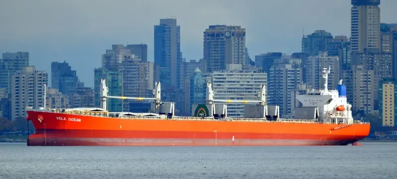 GOLDEN REJEKI Bulk Carrier IMO 9480966 photo 9