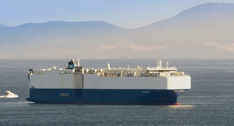 VIKING AMBER General Cargo IMO 9481049 photo 5