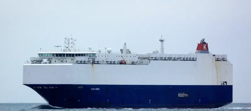 VIKING AMBER General Cargo IMO 9481049 photo 8