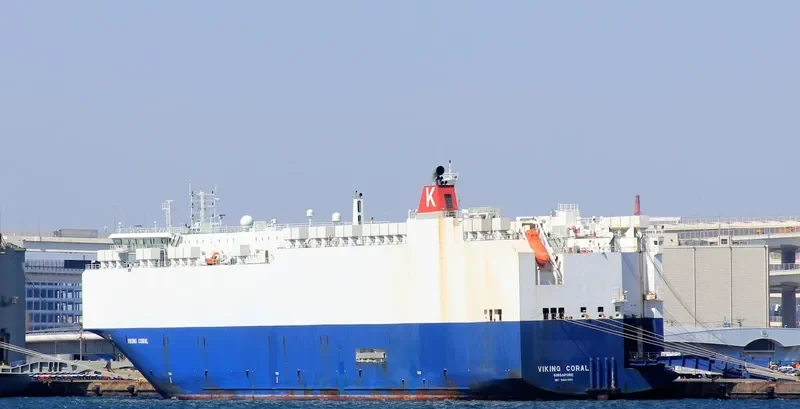 VIKING CORAL General Cargo IMO 9481051 photo 2