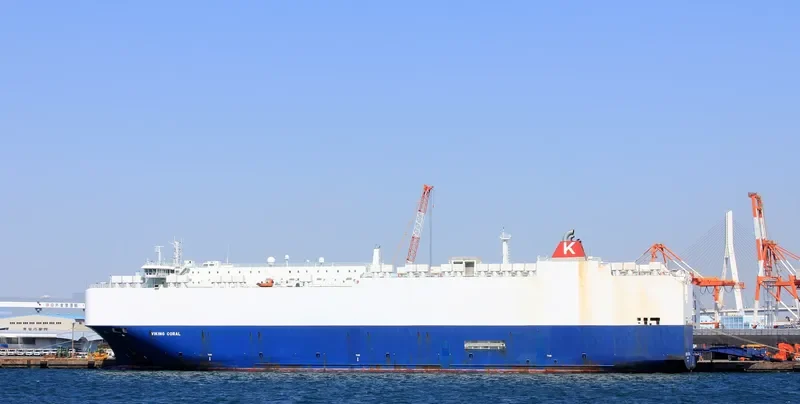 VIKING CORAL General Cargo IMO 9481051 photo 3