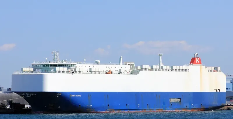 VIKING CORAL General Cargo IMO 9481051 photo 4