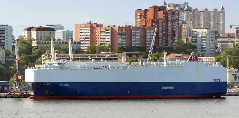VIKING CORAL General Cargo IMO 9481051 photo 5