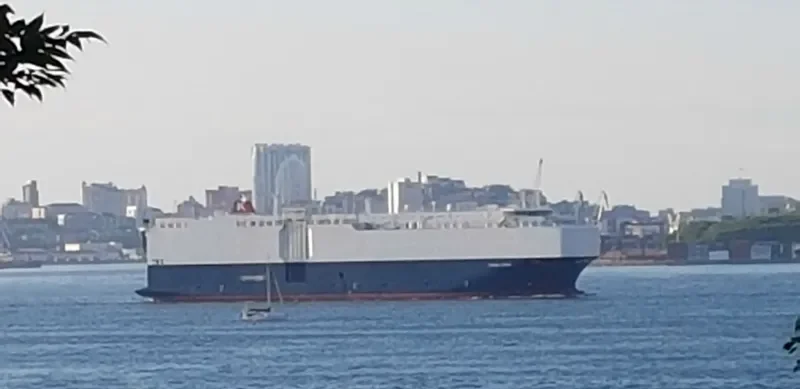 VIKING CORAL General Cargo IMO 9481051 photo 6