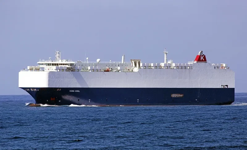 VIKING CORAL General Cargo IMO 9481051 photo 8