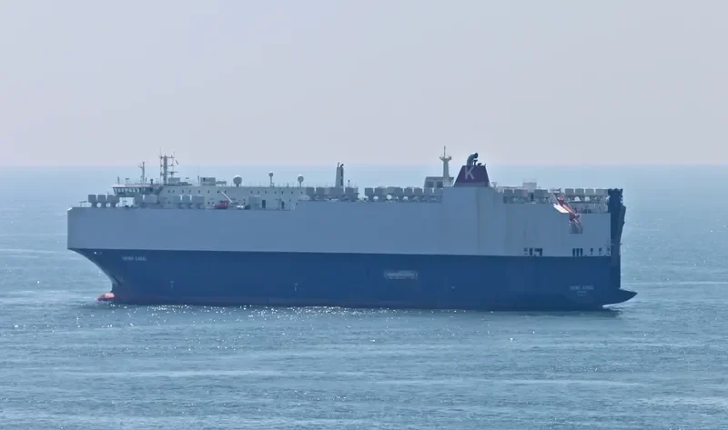 VIKING CORAL General Cargo IMO 9481051 photo 10