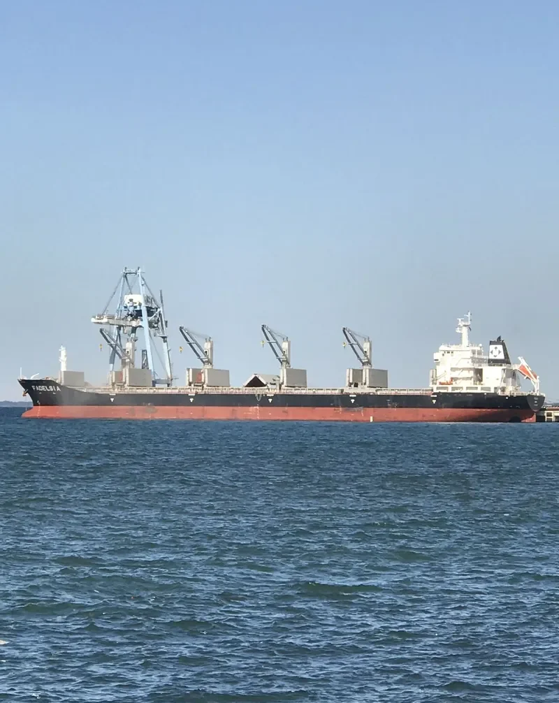 FADELSIA Bulk Carrier IMO 9481099