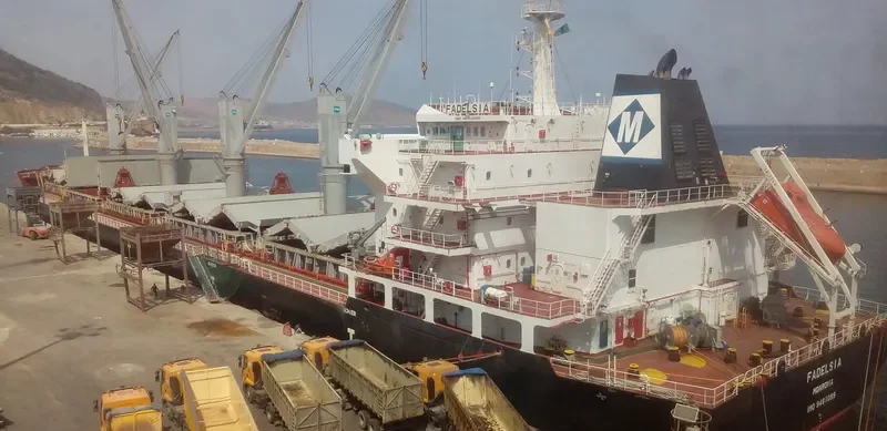 FADELSIA Bulk Carrier IMO 9481099 photo 2