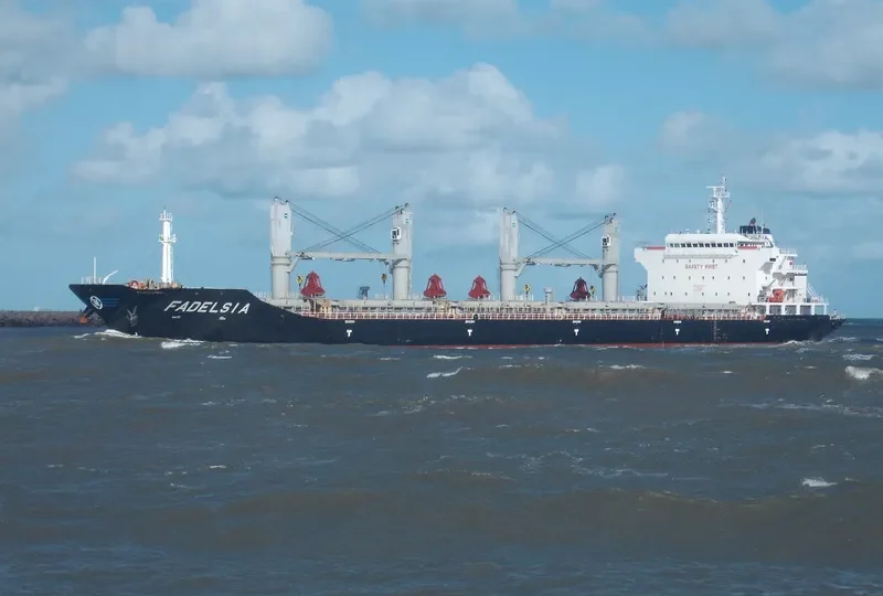 FADELSIA Bulk Carrier IMO 9481099 photo 3