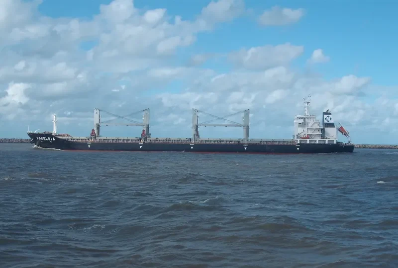 FADELSIA Bulk Carrier IMO 9481099 photo 4