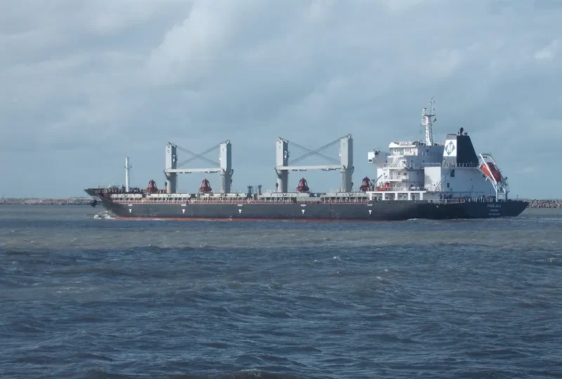 FADELSIA Bulk Carrier IMO 9481099 photo 5