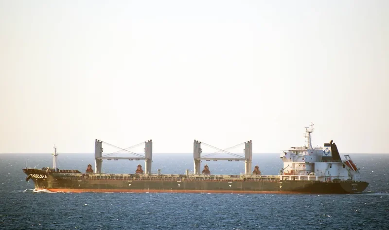 FADELSIA Bulk Carrier IMO 9481099 photo 6