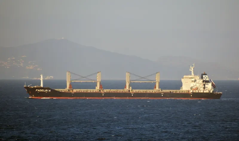 FADELSIA Bulk Carrier IMO 9481099 photo 7