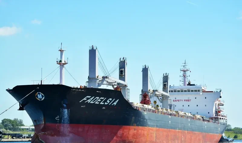 FADELSIA Bulk Carrier IMO 9481099 photo 8