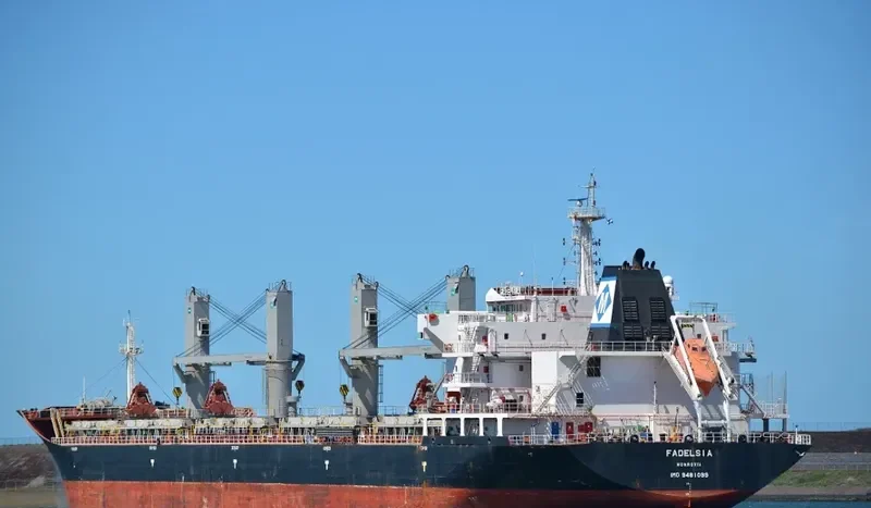 FADELSIA Bulk Carrier IMO 9481099 photo 9