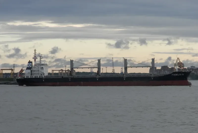 FADELSIA Bulk Carrier IMO 9481099 photo 10