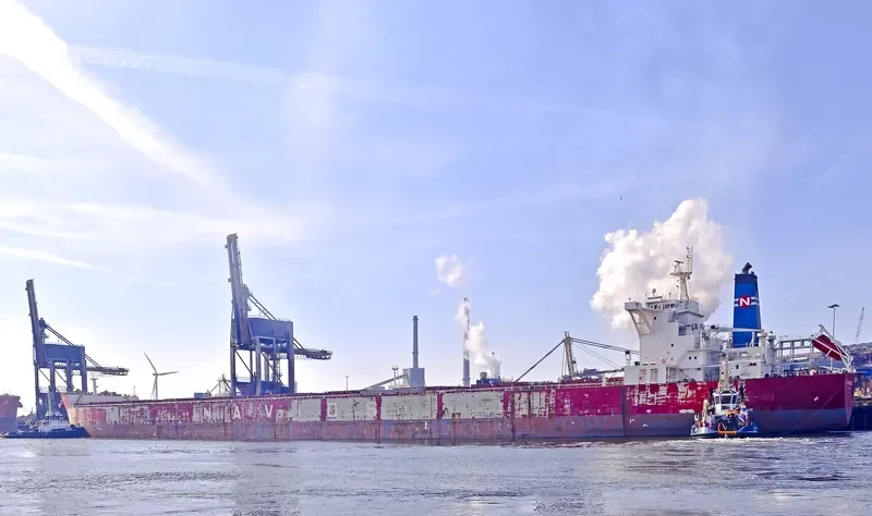 NAVIOS ANTARES Bulk Carrier IMO 9481257 photo 3