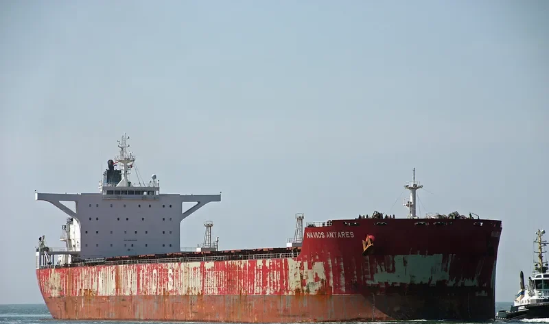 NAVIOS ANTARES Bulk Carrier IMO 9481257 photo 8