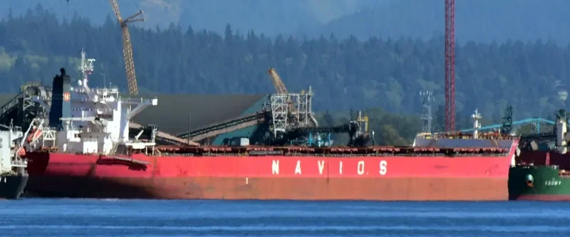 NAVIOS LUZ Bulk Carrier IMO 9481295 photo 2