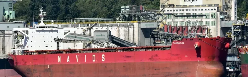 NAVIOS LUZ Bulk Carrier IMO 9481295 photo 3