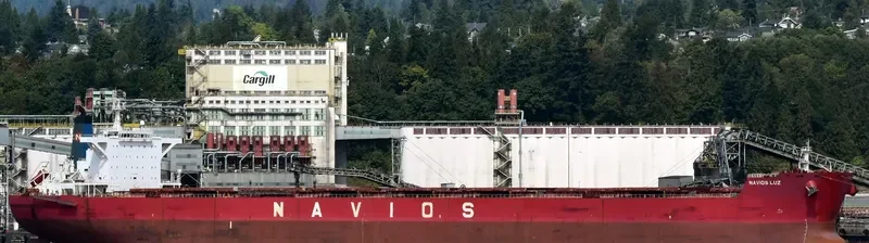 NAVIOS LUZ Bulk Carrier IMO 9481295 photo 4
