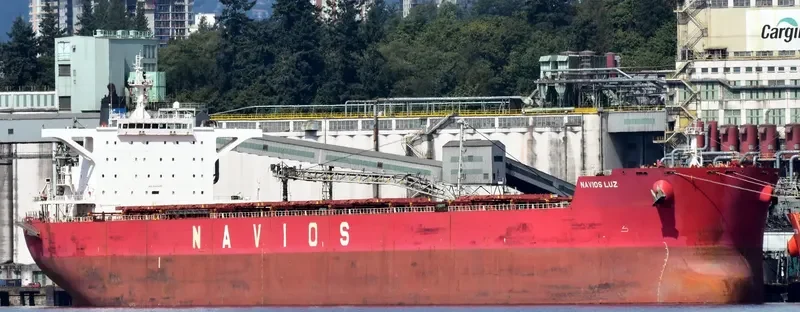 NAVIOS LUZ Bulk Carrier IMO 9481295 photo 5