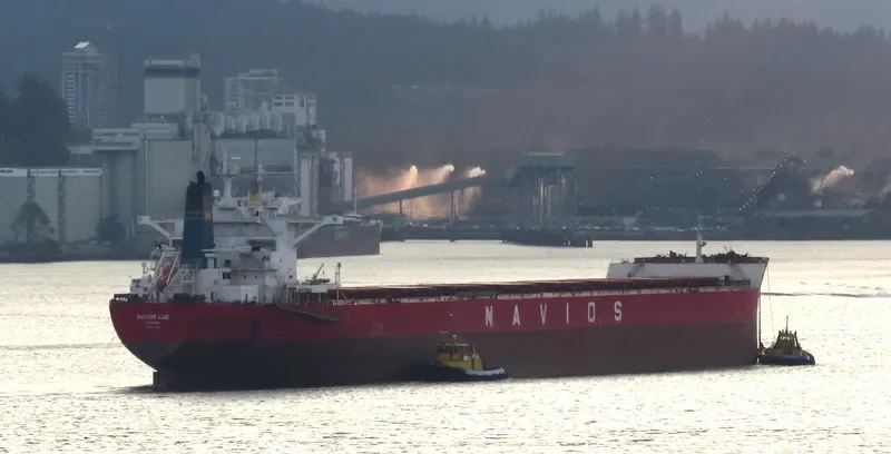 NAVIOS LUZ Bulk Carrier IMO 9481295 photo 6