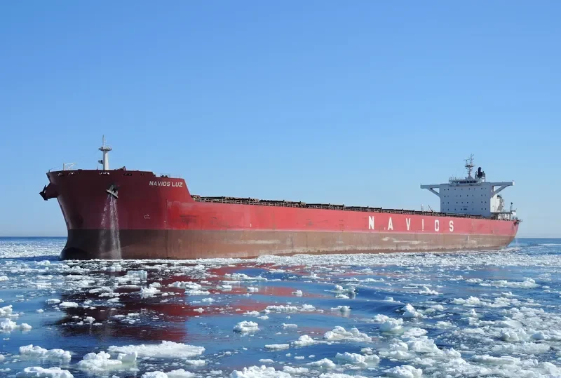 NAVIOS LUZ Bulk Carrier IMO 9481295 photo 8