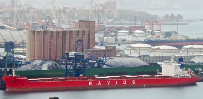 NAVIOS BONHEUR Bulk Carrier IMO 9481348 photo 3