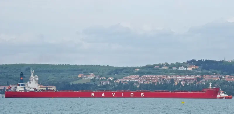 NAVIOS BONHEUR Bulk Carrier IMO 9481348 photo 5