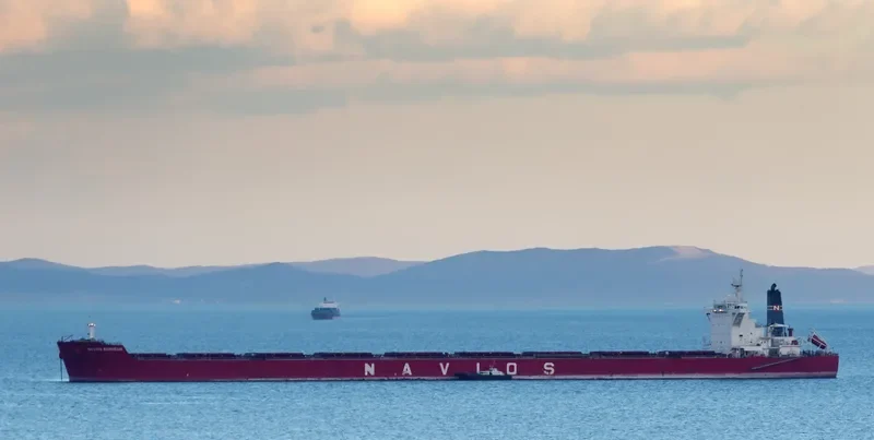 NAVIOS BONHEUR Bulk Carrier IMO 9481348 photo 10