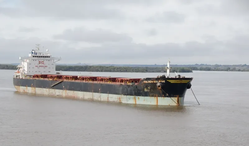 STERLING TORA Bulk Carrier IMO 9481427