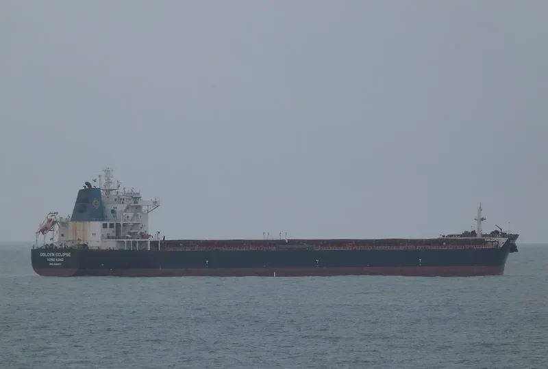 STERLING TORA Bulk Carrier IMO 9481427 photo 2