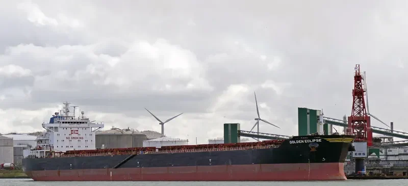 STERLING TORA Bulk Carrier IMO 9481427 photo 3