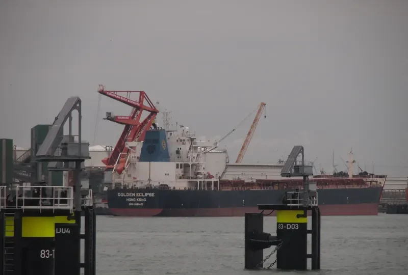 STERLING TORA Bulk Carrier IMO 9481427 photo 5