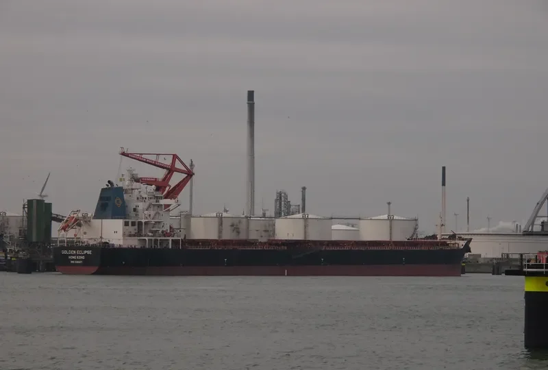 STERLING TORA Bulk Carrier IMO 9481427 photo 6