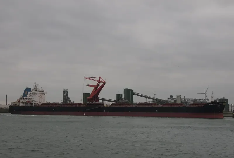 STERLING TORA Bulk Carrier IMO 9481427 photo 7