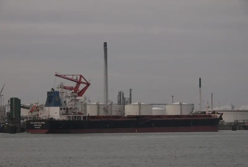 STERLING TORA Bulk Carrier IMO 9481427 photo 8
