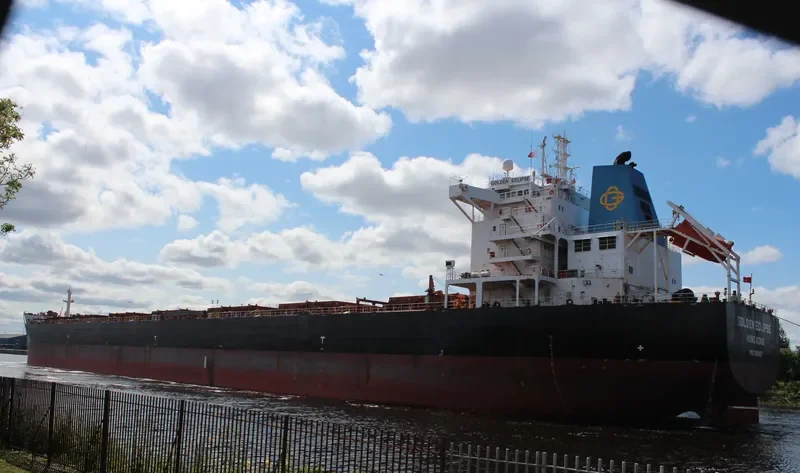STERLING TORA Bulk Carrier IMO 9481427 photo 9