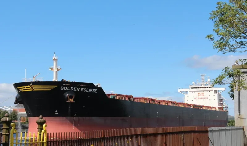 STERLING TORA Bulk Carrier IMO 9481427 photo 10