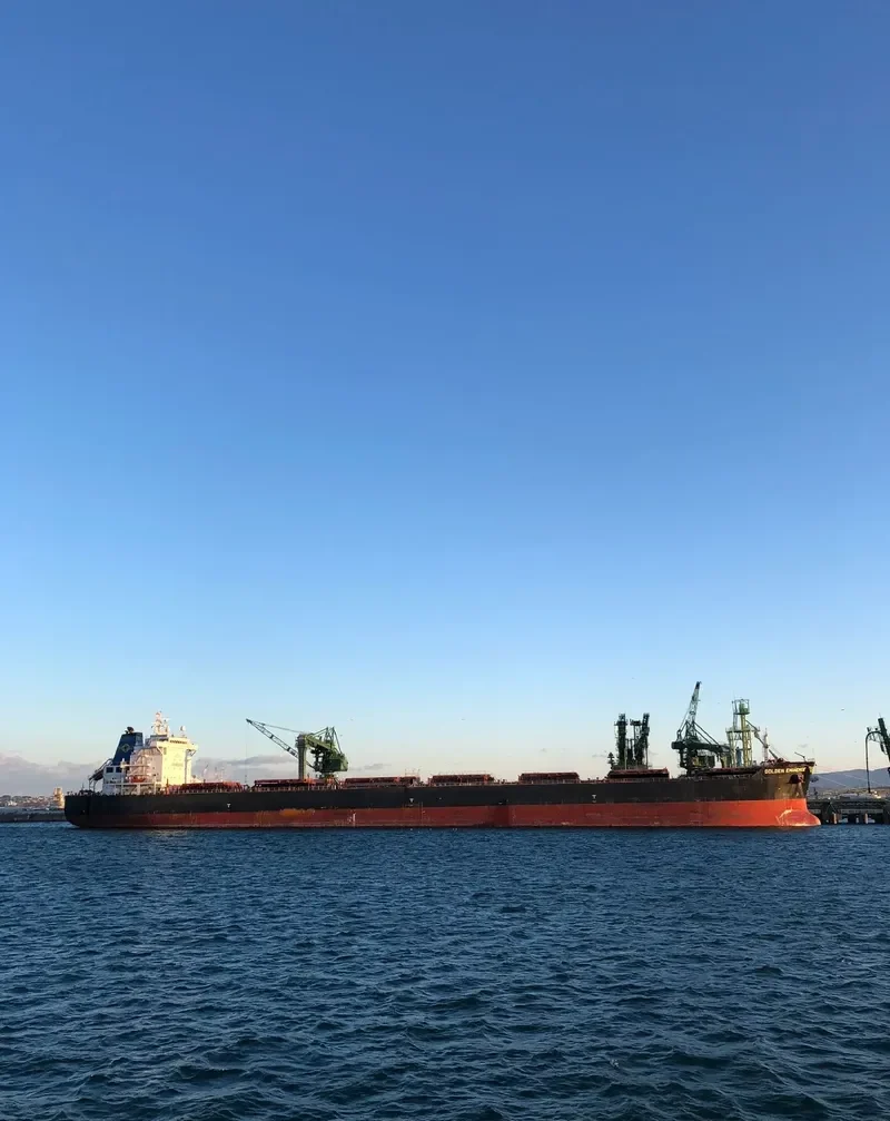THE PATRON Bulk Carrier IMO 9481439