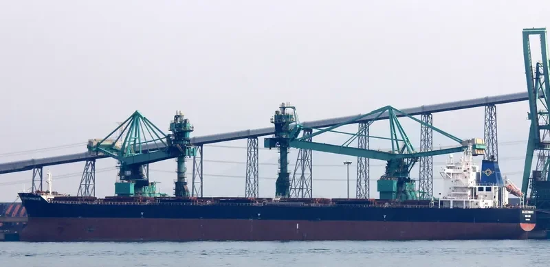 THE PATRON Bulk Carrier IMO 9481439 photo 2