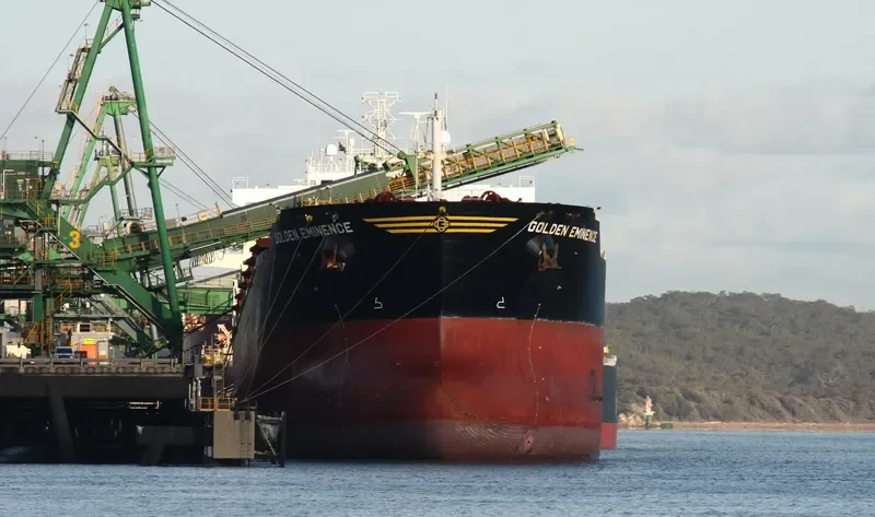 THE PATRON Bulk Carrier IMO 9481439 photo 4