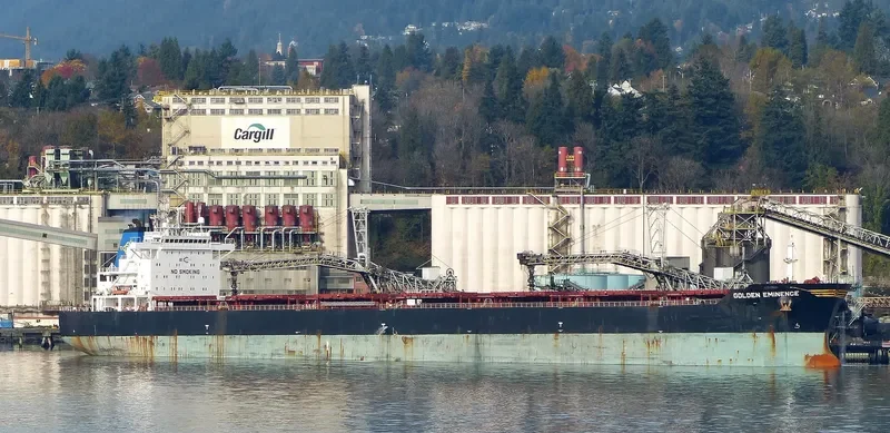 THE PATRON Bulk Carrier IMO 9481439 photo 5
