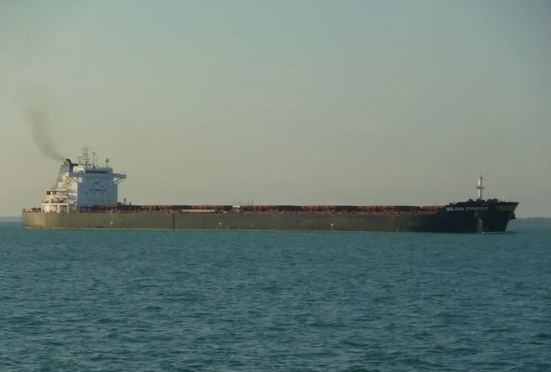 THE PATRON Bulk Carrier IMO 9481439 photo 6