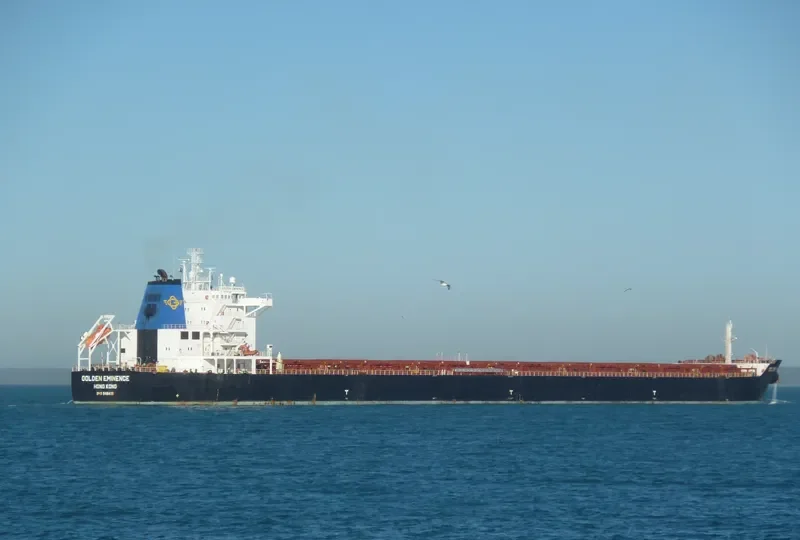THE PATRON Bulk Carrier IMO 9481439 photo 7