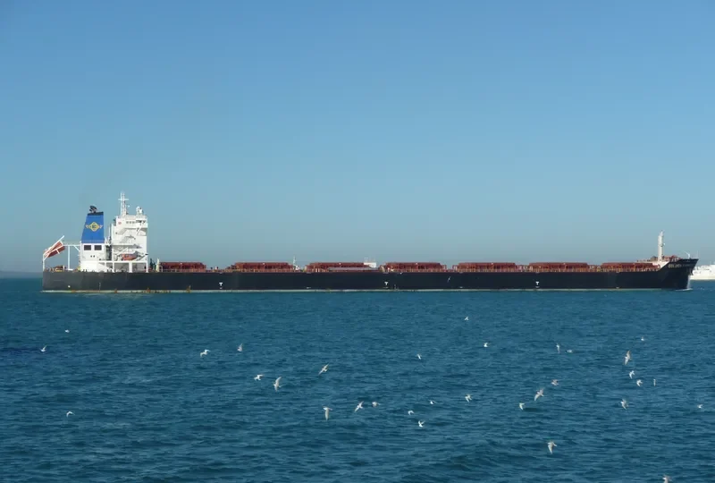 THE PATRON Bulk Carrier IMO 9481439 photo 8