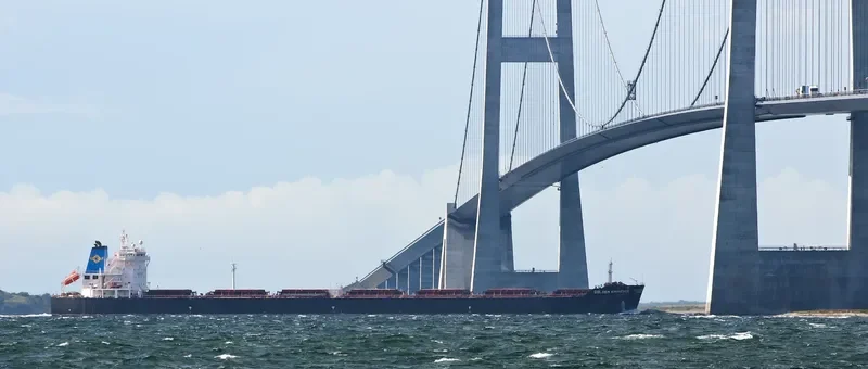 THE PATRON Bulk Carrier IMO 9481439 photo 9