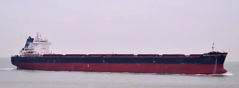 GOLDEN ENDEAVOUR Bulk Carrier IMO 9481453