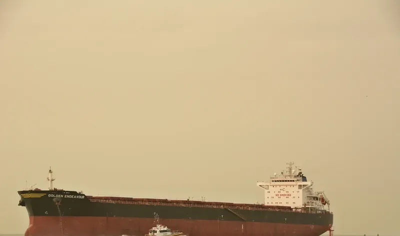 GOLDEN ENDEAVOUR Bulk Carrier IMO 9481453 photo 5